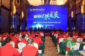 聚新力 • 共发展—衡阳市青年企业家协会第四次会员大会顺利举行